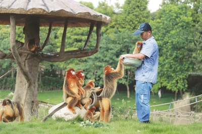 上海野生動(dòng)物園有哪些動(dòng)物_游客談上海野生動(dòng)物園經(jīng)歷_杭州野生動(dòng)物世界 年均游客