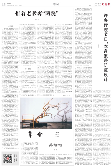 newspaper