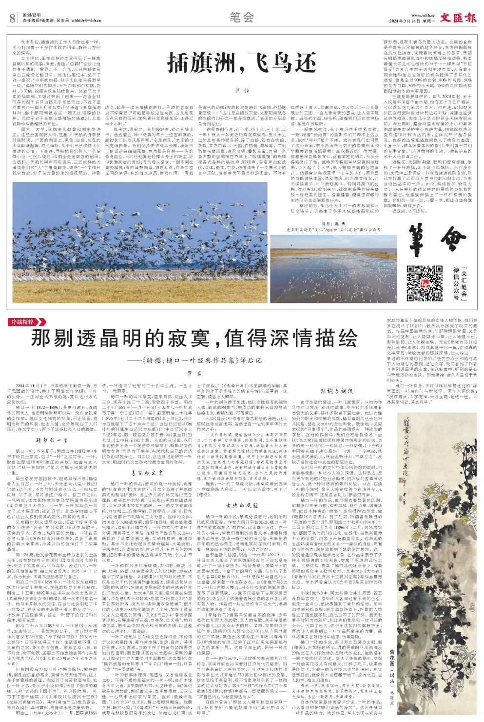 newspaper