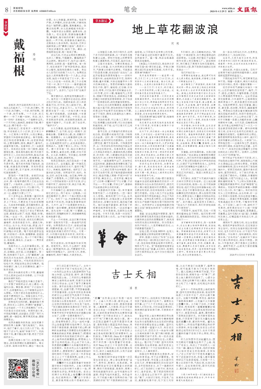 newspaper